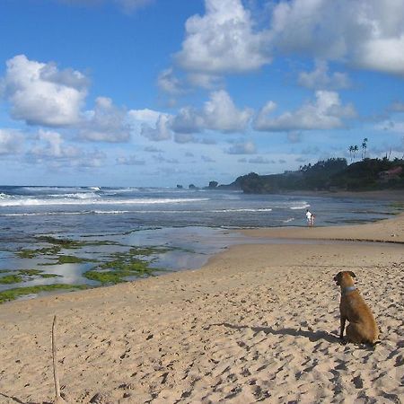 Hotel Round House Bathsheba Exterior foto